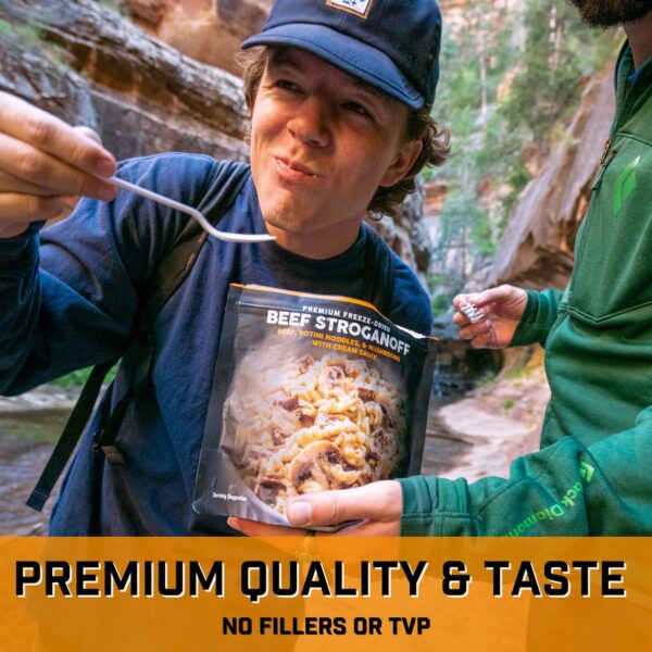Peak Refuel Beef Stroganoff | Freeze Dried Backpacking and C...