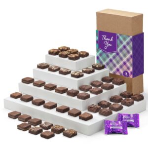 Fairytale Brownies Thank You Magic Morsel 48 Individually Wr...