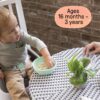 Ingenuity SmartClean Toddler Booster Seat for Kitchen Chair ...