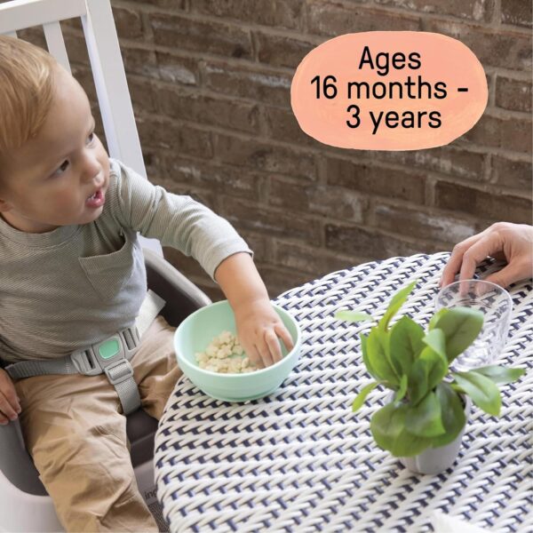 Ingenuity SmartClean Toddler Booster Seat for Kitchen Chair ...