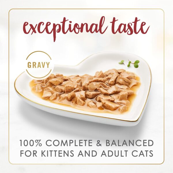 Purina Fancy Feast Gravy Lovers Beef Feast Grilled Gourmet C...
