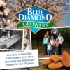 Blue Diamond Almonds, Snack Nut Flavored Honey Butter perfec...