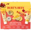 Burt's Bees Gifts Ideas, Tips and Toes Kit, 6 Travel Size Pr...