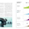 You Are What You Watch: How Movies and TV Affect Everything
