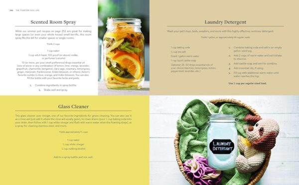 The Forever Dog Life: 120+ Recipes, Longevity Tips, and New ...