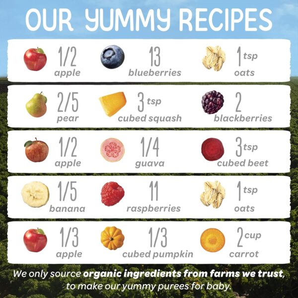 Happy Baby Organics Stage 2 Baby Food Pouches, Gluten Free, ...