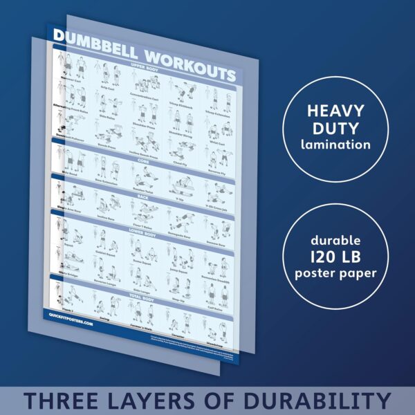 Palace Learning Dumbbell Workout Exercise Poster - Free Weig...