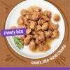 Purina Friskies Wet Cat Food, Meaty Bits Gourmet Grill in Gr...