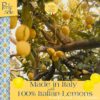 Perle di Sole Italian Lemon Drops Hard Candy Individually Wr...