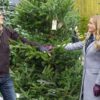 Hallmark 3-Movie Collection: Crown for Christmas / A Christm...