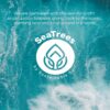 Sea El Castor Lash & Brow Serum Organic Castor Oil Rosemary ...