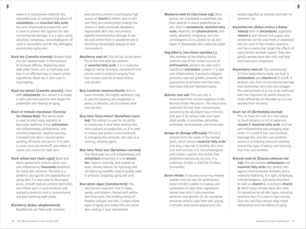 The Beauty Geek's Guide to Skin Care: 1,000 Essential Defini...
