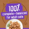 Purina Friskies Wet Cat Food, Meaty Bits Gourmet Grill in Gr...
