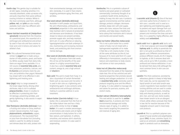 The Beauty Geek's Guide to Skin Care: 1,000 Essential Defini...