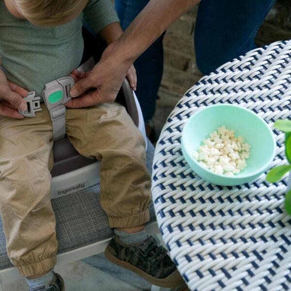 Ingenuity SmartClean Toddler Booster Seat for Kitchen Chair ...