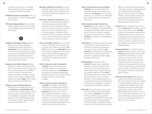 The Beauty Geek's Guide to Skin Care: 1,000 Essential Defini...